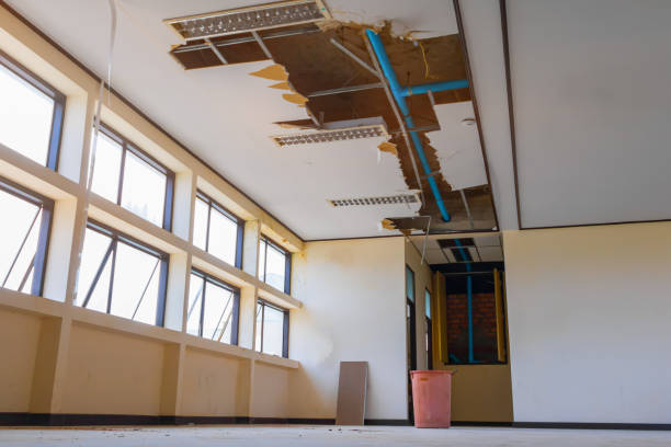 Best Sewage cleanup and water damage restoration  in Byron, IL
