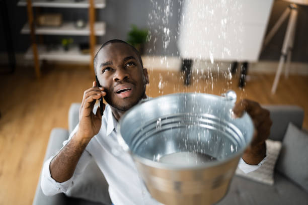 Best Professional water damage repair  in Byron, IL