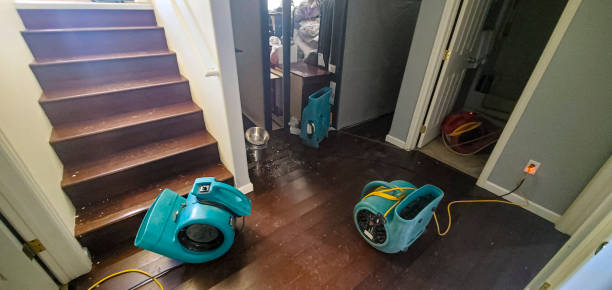 Best Water damage mitigation services  in Byron, IL