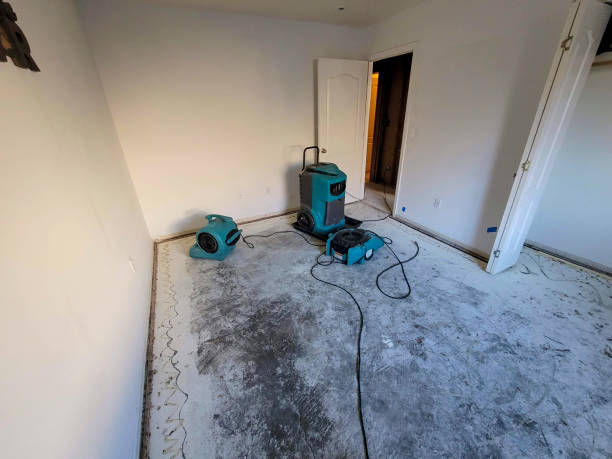 Best Water damage restoration near me  in Byron, IL