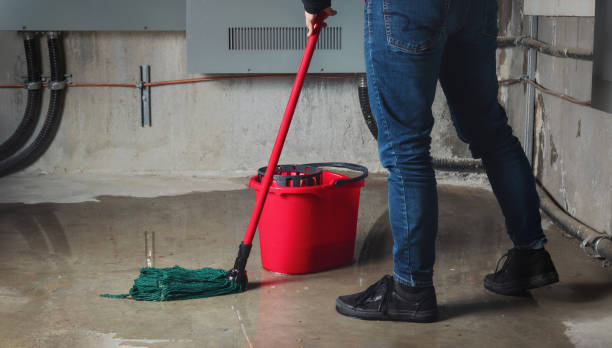 Best Ceiling water damage repair  in Byron, IL