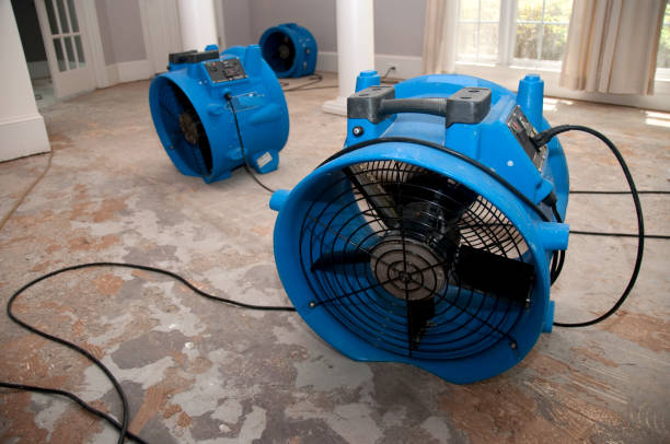 Best Emergency water damage restoration  in Byron, IL