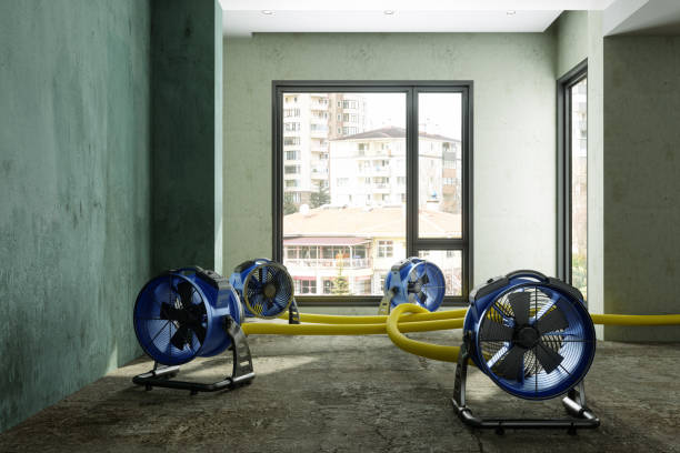 Best Commercial water damage restoration  in Byron, IL